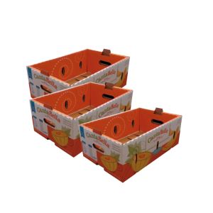 Biodegradable Fruit Box Carton Box Fruit Vegetable Apple Box Packaging