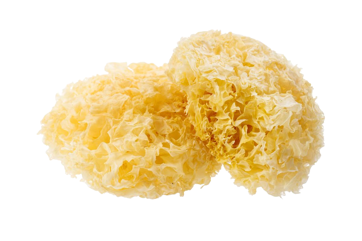 Tremella Fuciformis Extract Powder Polysaccharides 10%-50% Tremella Mushroom Extract