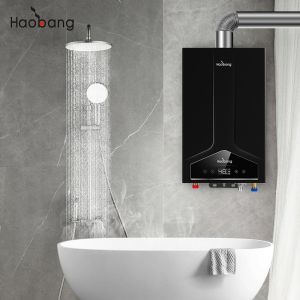 Lower Inlet And Upper Inlet Balanced Flue Water Heater With Stainless Steel