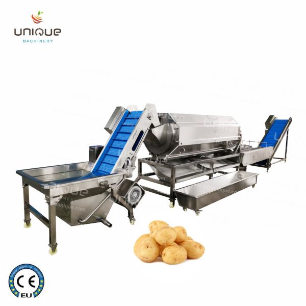 Quality Stainless Steel 304 Automatic Ginger Washer and Cassava Cleaning Machine Year 2021 wholesale
