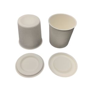 Wet Press Sugarcane Pulp Packaging , Eco Friendly Molded Paper Packaging