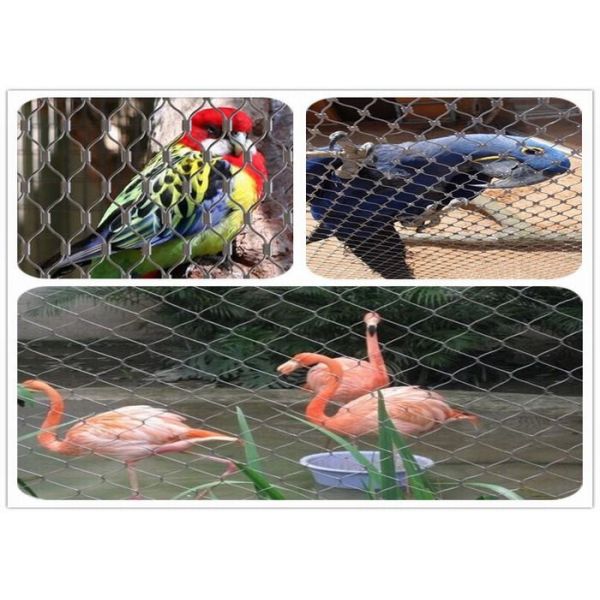 Quality Lightweight Parrot Aviary Mesh Corrosion Resistant Inox Wire Mesh Woven / Ferrule Type wholesale