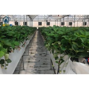 Farm Vertical PVC NFT Gully Planting Troughs Agriculture Vegetable Growing