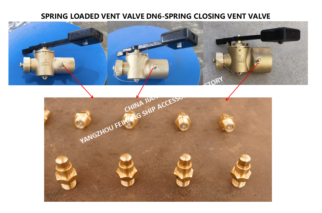 DN6 Size Spring Loaded Vent Valve with Threaded Connection Compliant to CB/T3778