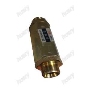 Cheap XCMG Truck Crane QY12 QY12B.5 803000407 SLDXF-RHD25S Double check valve for sale