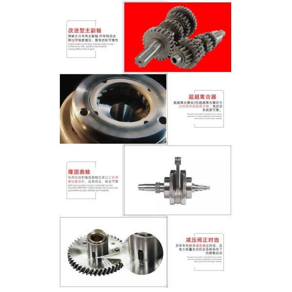 200cc Water-Cooled Petrol 3 Wheels Motorcycle Engine Assembly 1 Cylinder 4 Stroke 31 CDI