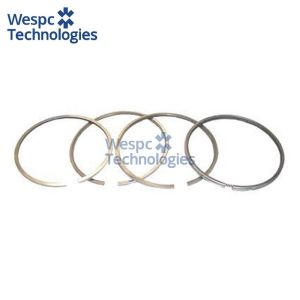 WESPC 4181A009 piston ring kit for Perkins A4.248 and 4.248 LF diesel engines