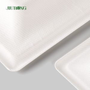 Biodegradable Disposable Kraft Paper Plate For Party Bulk Custom Print