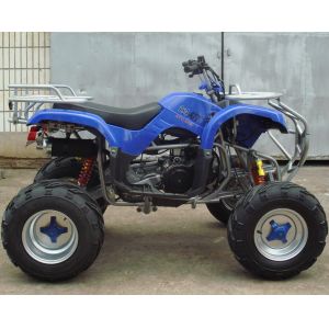 Large Size Automatic ATV 150cc Quad Bike 10" Big Tire Cvt Interior Reverse