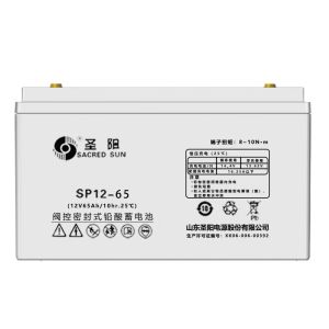 Sacred Sun 12V65Ah Lead Acid Battery for UPS Power Communication Solar Energy