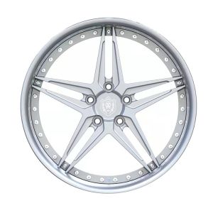 19-inch two-piece custom forged alloy wheels with deep concave type and brushed
