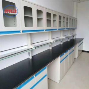 Customizable and Modern Modular Lab Furnitures Design with Powder Coating