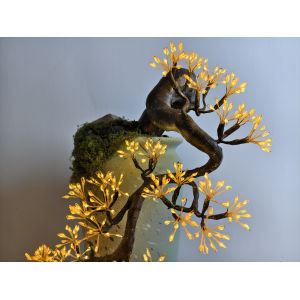 Long Lasting and Energy Home Decoration Lights The Perfect Addition to Your