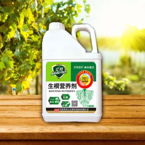 Cheap Alginate Plant Roots Seaweed Extract Fertilizer To Promote Plant Growth for sale