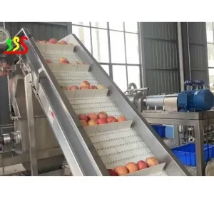 Cheap Stainless Steel Food Grade Fruit Processing Line With Automatic Bag Packing for sale
