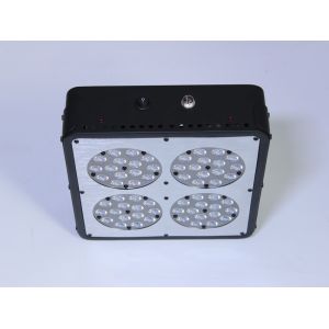 Cidly LED 4 150W High power 3W led grow light for indoor plant growing