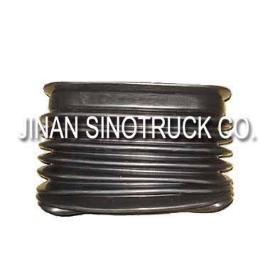 Quality HOWO SIPHON wholesale