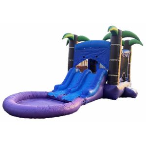 Cheap Customized Combo Bouncer With 2 Slides And Pool Wet Or Dry Jumping Castle With Water Slide for sale