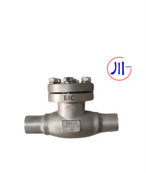Cheap BW Cryogenic Check Valve DN10-100mm for sale