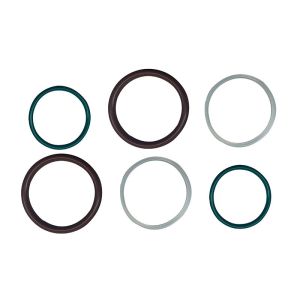 ORK Custom Various PCP Para SealsInjection O-ring for Effective Product Sealing