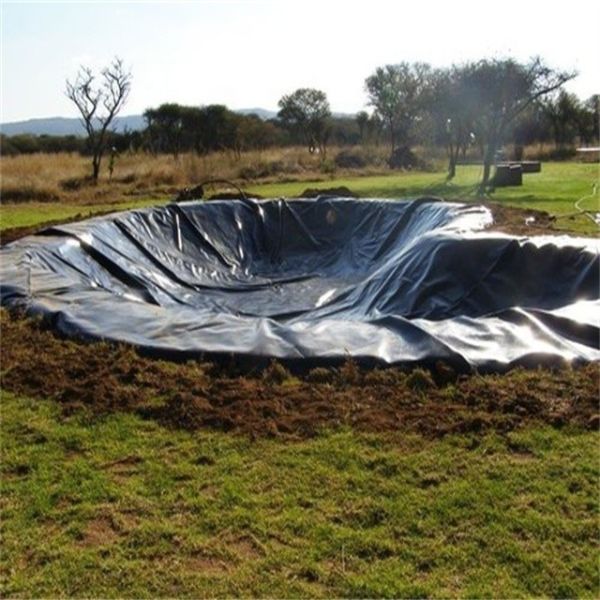 Custom 1mm 0.5mm HDPE Dam Liner in Kenya 500 Microns Geomembrane Pond Liner