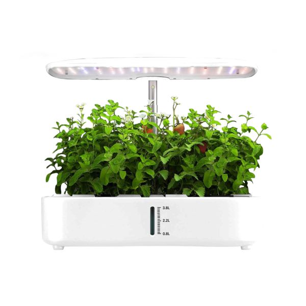 Quality Full Spectrum Indoor Mini Garden 24W Table Lamp for plants seedling Smart hydroponics System 12 pods Large Capacity wholesale