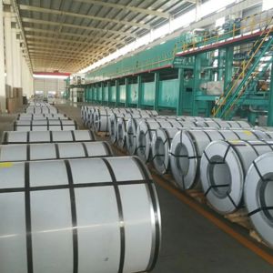 Steel Coil RAL Color Customizable Hot Rolled Pre-Galvanized Color Coated Z120