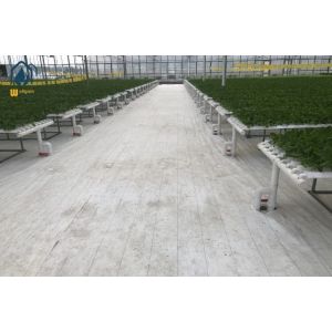 Greenhouse Hydroponic Vertical NFT Hydroponic System Soilless Vegetable Planting