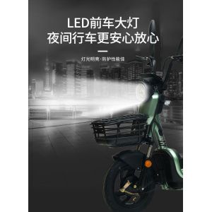 ELECTRIC VEHICLE WITH REMOTE CONTROL KEY TWO-PERSON ELECTRIC BICYCLE NEW BATTERY