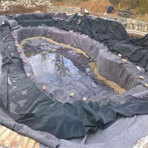 0.3mm-3.0mm Thickness HDPE Geomembrane for Dam Pond Liner Project Solution