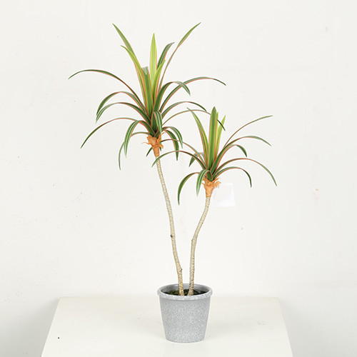 Quality 66 CM 80 CM Artificial Dragon Tree Bonsai With 2 Branches wholesale