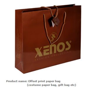 Luxury Paper Gift Bags Paper Carrier Bag Party Bag with Handles,Low Cost Ribbon