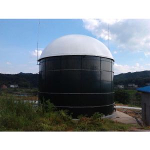 Mature And Efficient Integrated Anaerobic Digester Tank