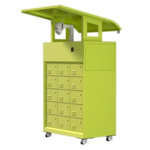 APP Control Swappable Battery Scooter 220V Lithium Electric Scooter Swappable