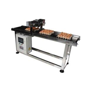 China PLC Control Date Printing CIJ TIJ Belt Egg Coding Conveyor on sale