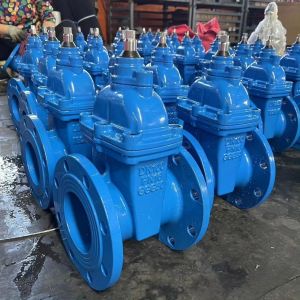 Cheap Y type structure gate valve for soft seal and sluice gate performance for sale