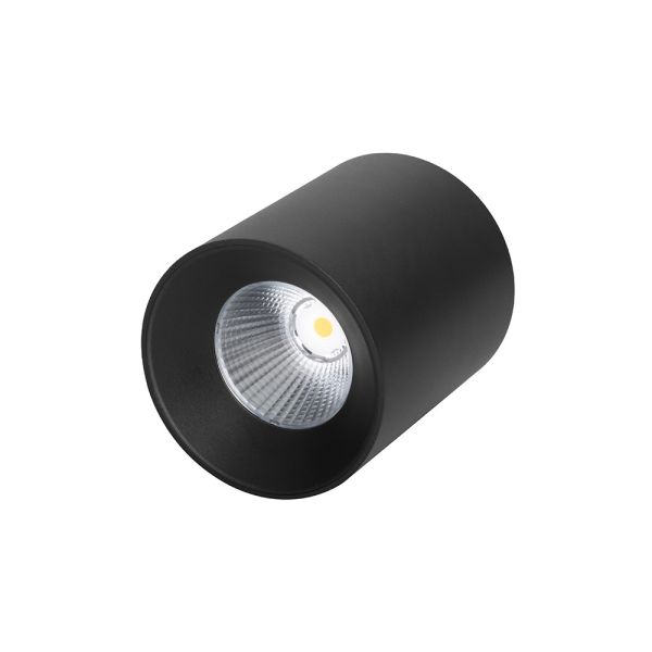 80W surface spotlight 0-10V dimmable contral meanwell driver COB surface mounted