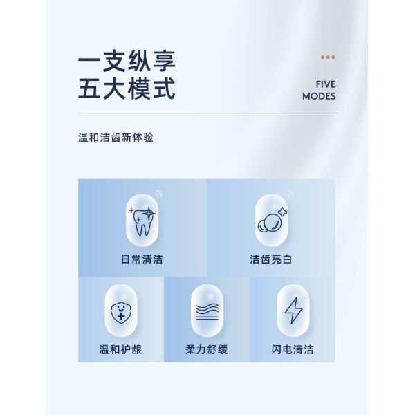 Food Grade ABS Ultrasonic Automatic Toothbrush Type C Charging