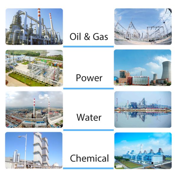 application-check-valve