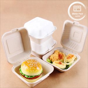 Blister Eco Compostable Clamshell 3 Compartment Disposable Lunch Box Sugarcane