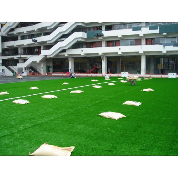 Artificial Turf