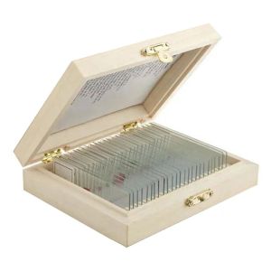 Biological Science Education PS25 Prepared Microscope Slide Set With Wooden Case