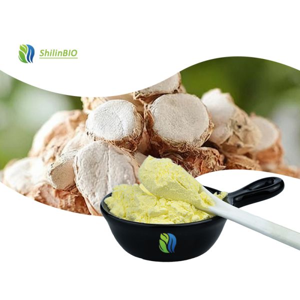 Quality Kaempferia Extract kaempferol wholesale