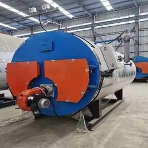 Diesel Chicken Slaughter Steam Boiler For Heating Customized Dimension