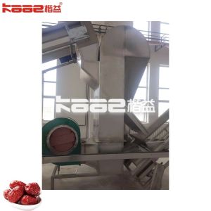 Cheap Dates Jujube Processing Machinery Palm Dates Washing Sorting System Machine for sale