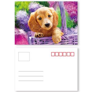 Vivid Plant Two Sides Printing 3D Lenticular Card Plant Introduction