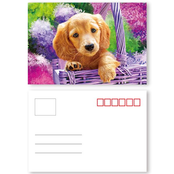 Quality Vivid Plant Two Sides Printing 3D Lenticular Card Plant Introduction wholesale