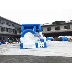 Blue Small Commercial Inflatable Slide For Children / Backyard Water Slide