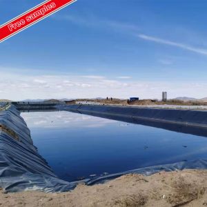 Waterproof Geomembrane for Agriculture Fish Pond Shrimp Liner 1mm 2mm Industrial