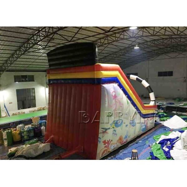 0.55mm Pvc Material Giant Kids / Adult Inflatable Slide Commercial Fire Resistant